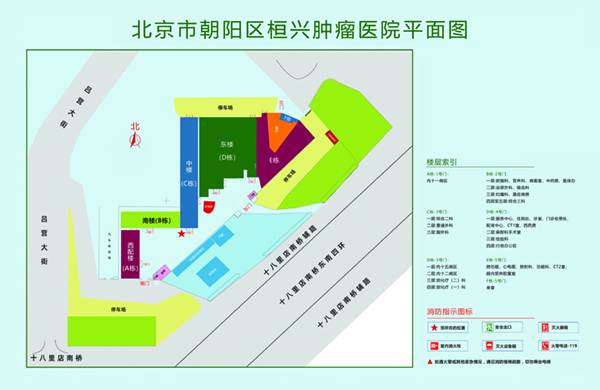 被大鸡吧操骚B真爽视频北京市朝阳区桓兴肿瘤医院平面图